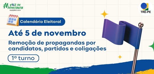 TRE-PE - 5 de novembro - remoção de propagandas